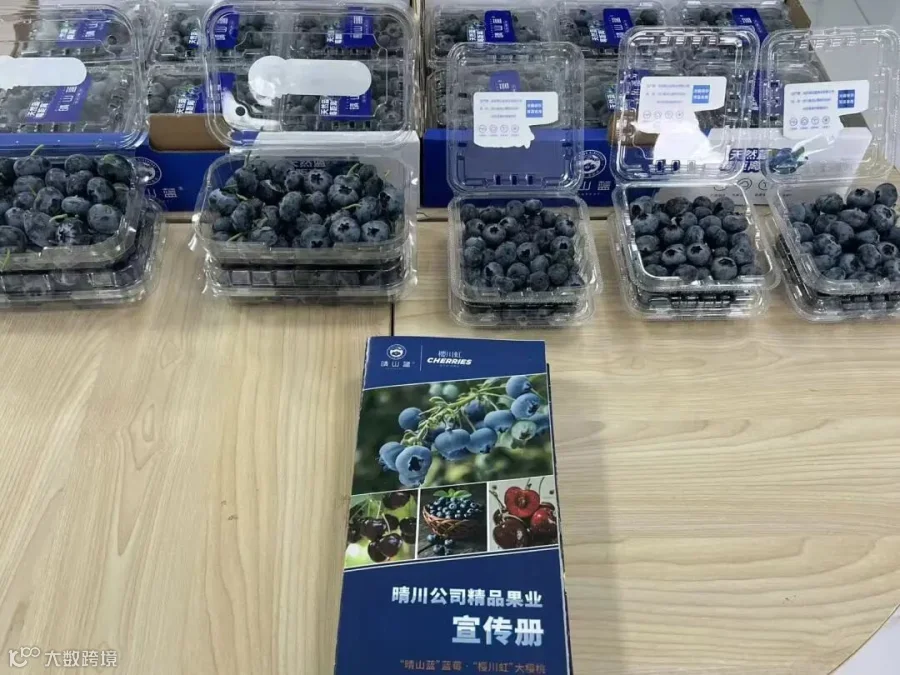 微信图片_20251110164416_25_234.jpg