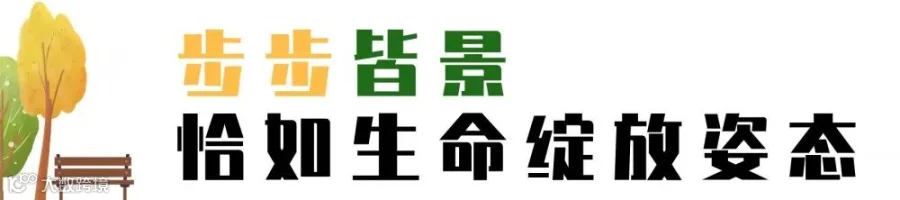 1605855966803704.jpg