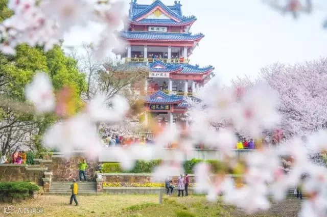 鼋头渚7.jpg