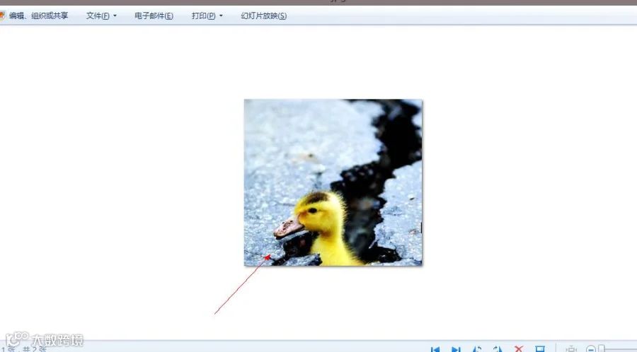 E207.tm.png