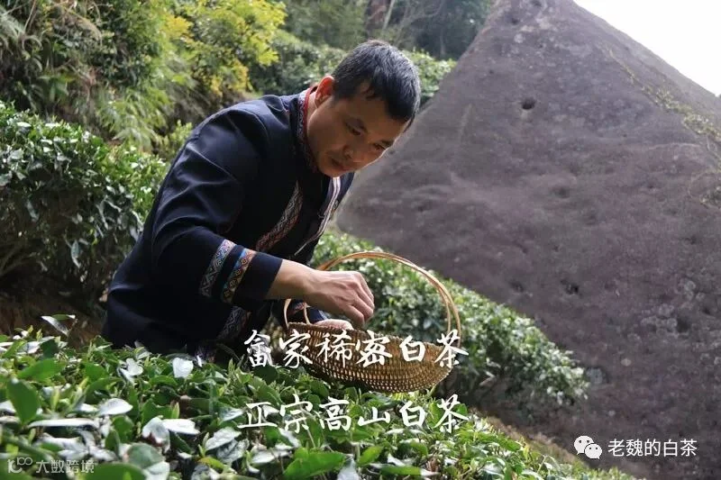 微信图片_20190614142139.jpg