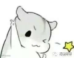 u=1112237926,508997599&fm=11&gp=0.jpg