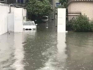 登录/注册后可看大图