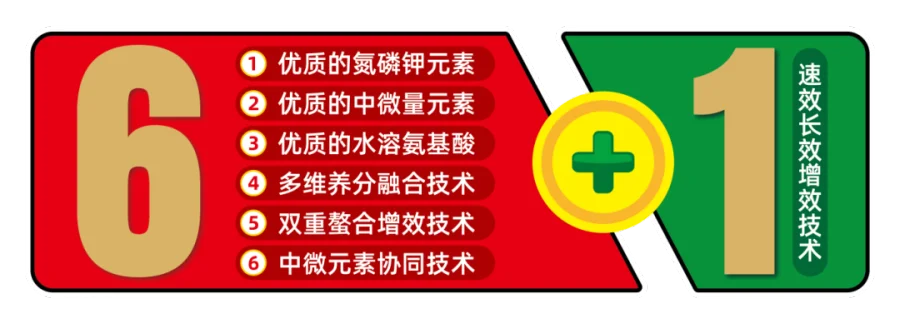 ZH25.066 住和6+1水溶肥料 17-17-17  S  50kg-02.png