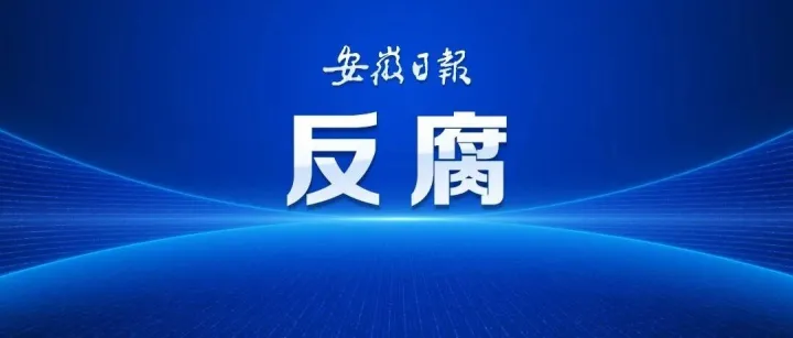 严重违纪违法！岳西县民政局原党组书记、局长凤良向被开除党籍