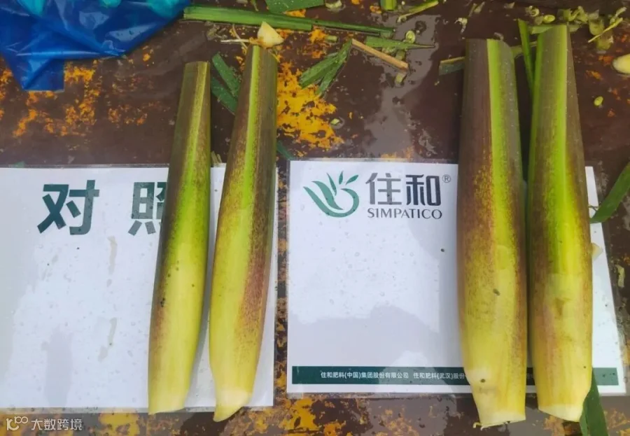 微信图片_20240514104929.jpg