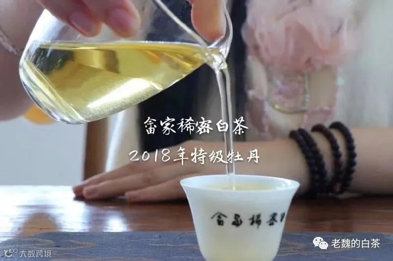 微信图片_201908101145203.jpg