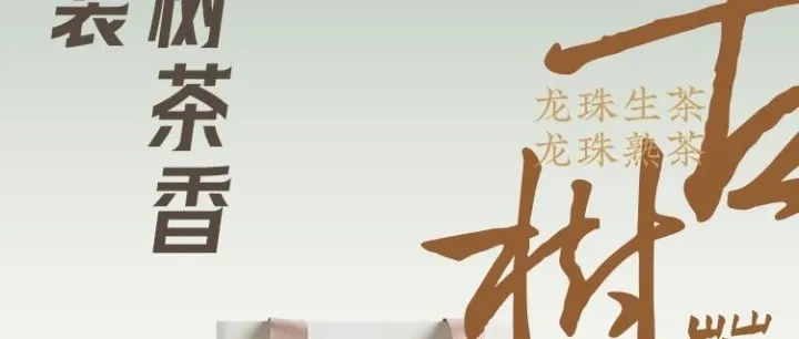 古树茶香礼盒 | 半盏凝岁月，一瓯藏乾坤