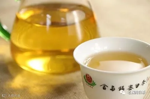 吨吨吨多大848.jpg