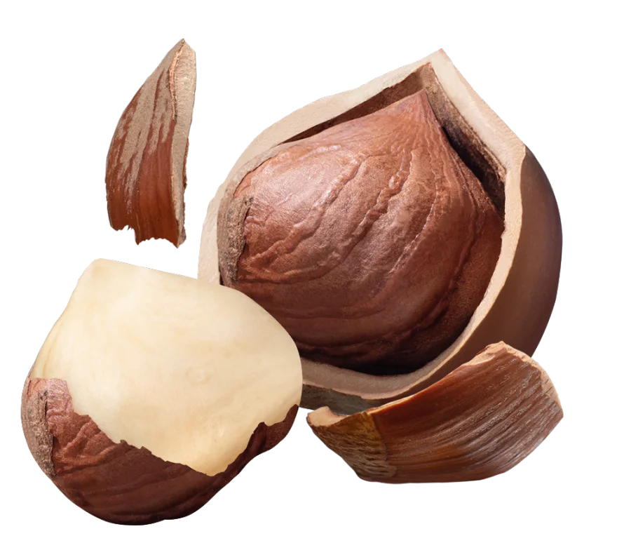 image28.png