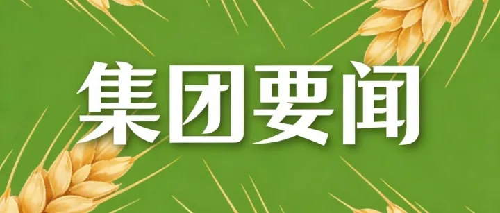 呼和浩特市粮油集团有限公司召开2025年度内控内审专项检查结果整改工作会议