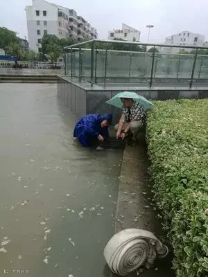 登录/注册后可看大图