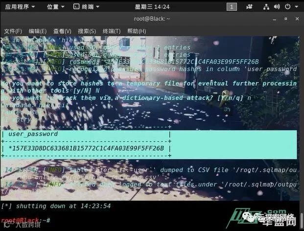 KaLi sqlmap 简单入侵