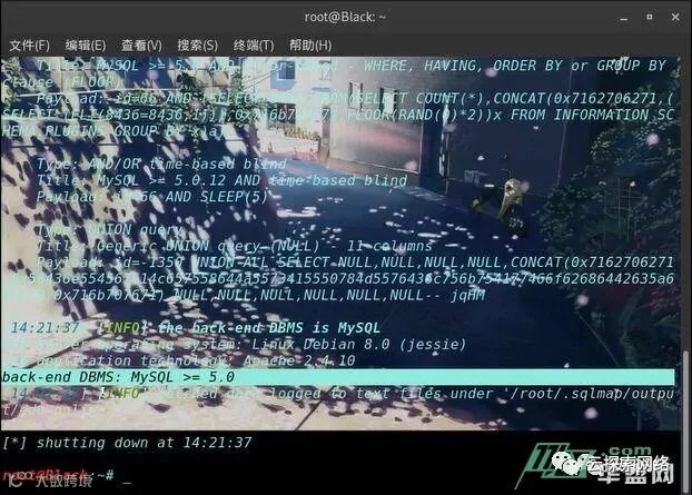 KaLi sqlmap 简单入侵