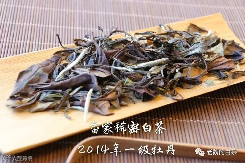 微信图片_20190817120352.jpg