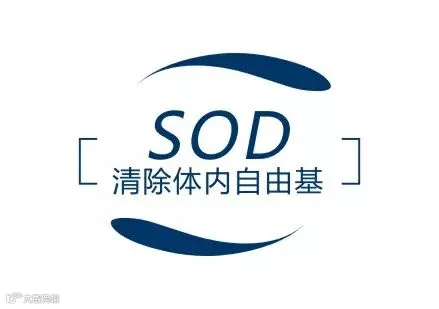 56483873195315fd0151.jpg