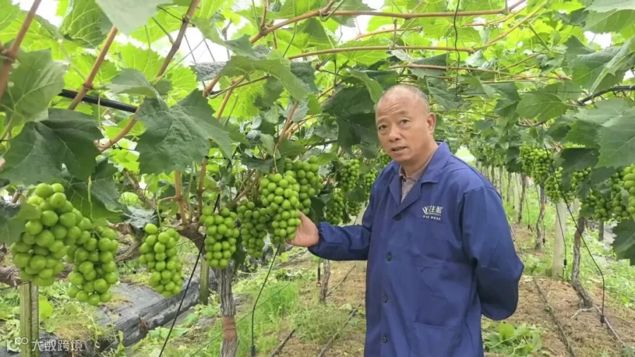 7月9日(3).jpg
