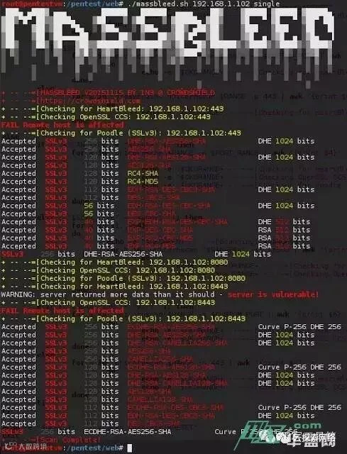 MassBleed - SSL 漏洞检测工具