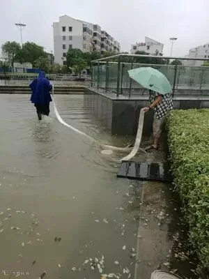 登录/注册后可看大图