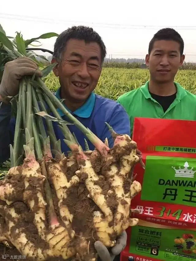 2018昌邑双台村李松杰.jpg