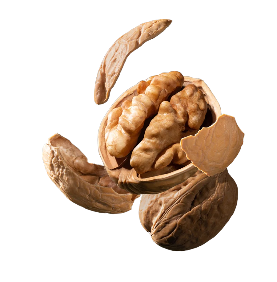 image25.png