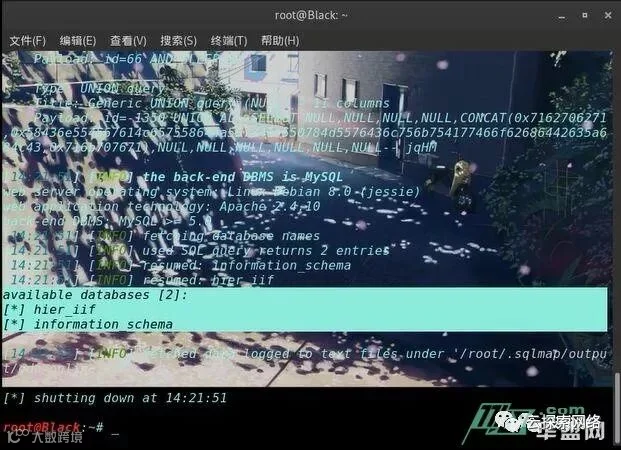 KaLi sqlmap 简单入侵