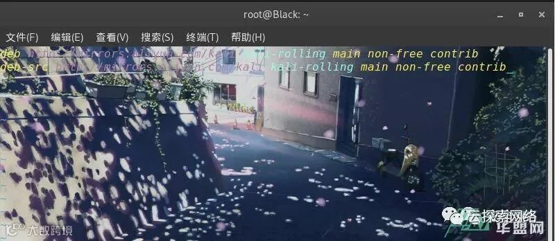 你的kali 界面炫酷吗?