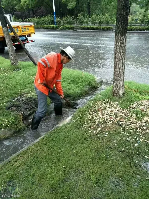 点击查看原图