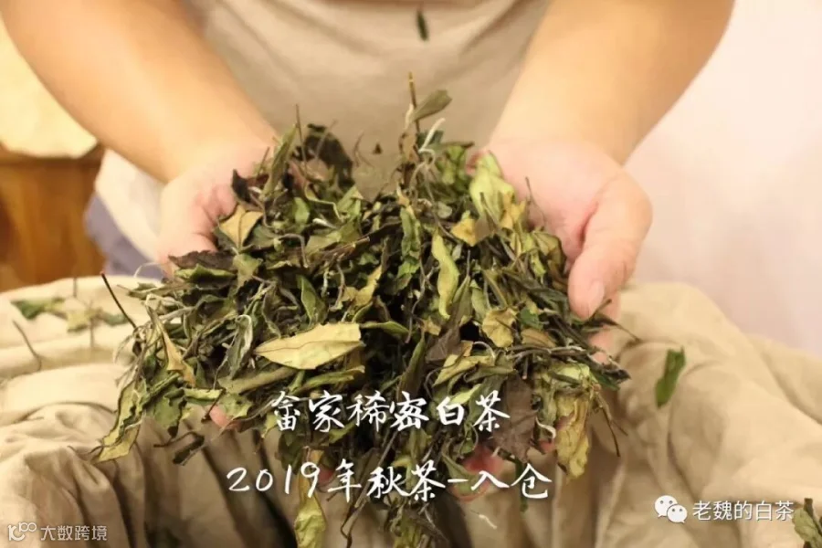 微信图片_201908291617401.jpg