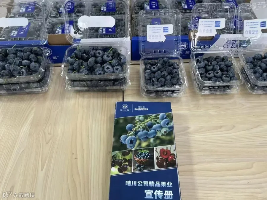 微信图片_20251110164356_21_234.jpg