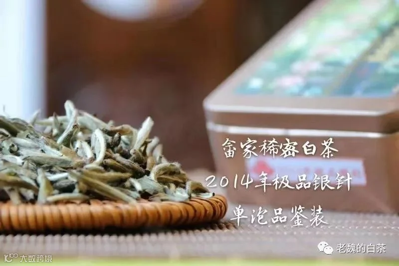 微信图片_201908161350001.jpg