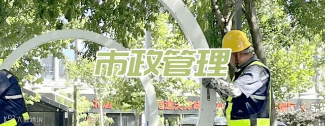 首图动图-小.gif