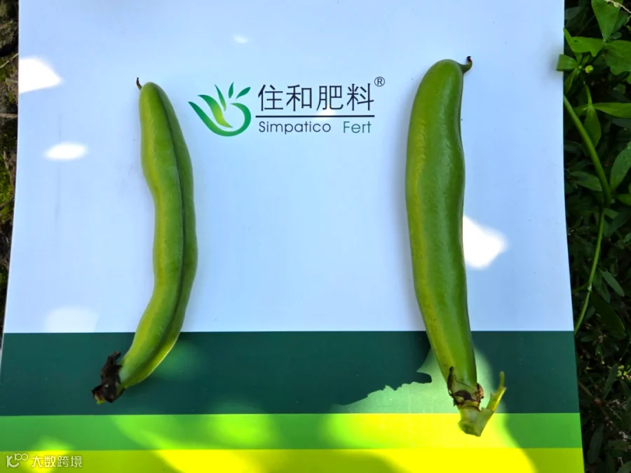 fcae750ea30af0790060b922f7806128_origin(1).jpg