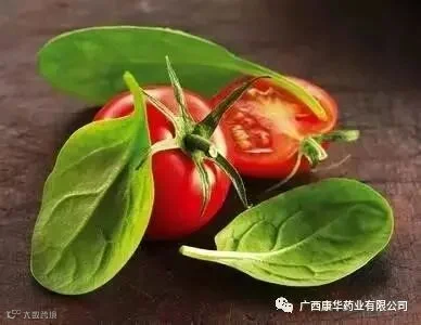 春天身体里有一把火!这样做,中医教你对症灭火~