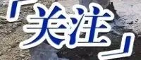 3个亿的国家重点工程，被曝徒手能扒开底座，背后是不是有庞大利益链