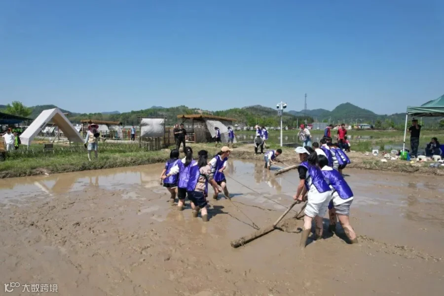 DJI_0809.JPG