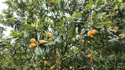 5月21日.gif