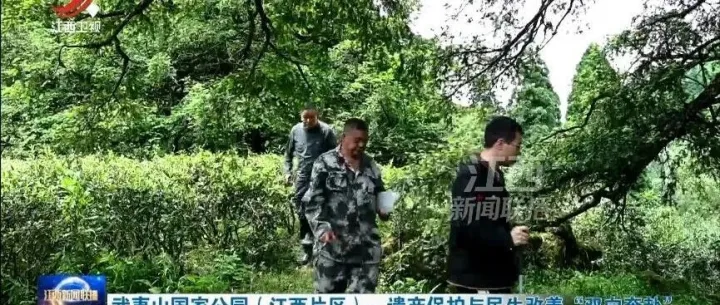 武夷山国家公园（江西片区）：遗产保护与民生改善“双向奔赴”