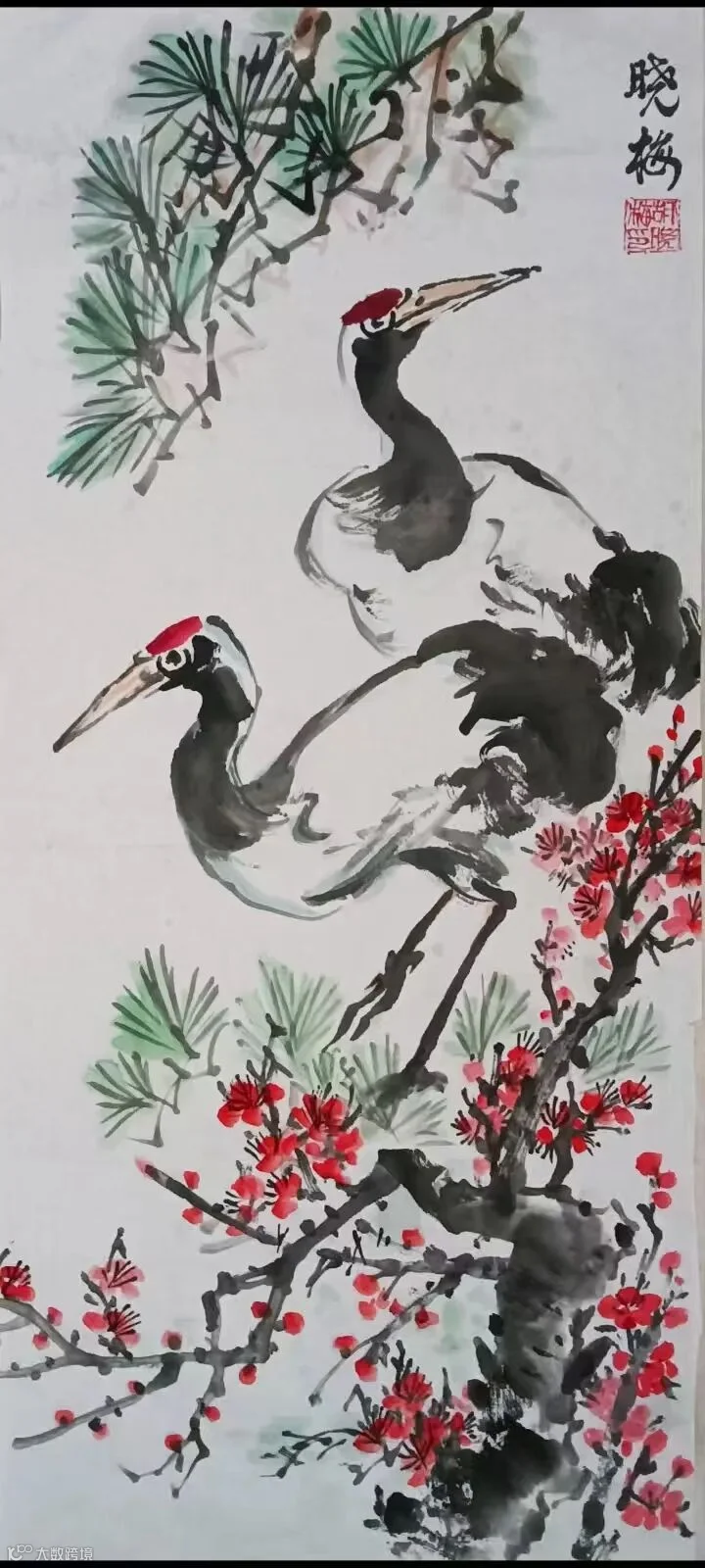 图片