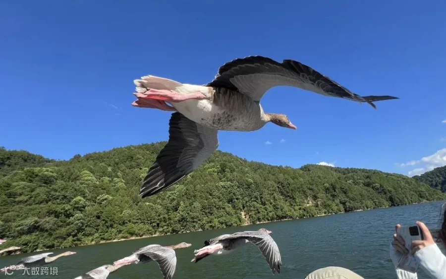 微信截图_20250815233946.png