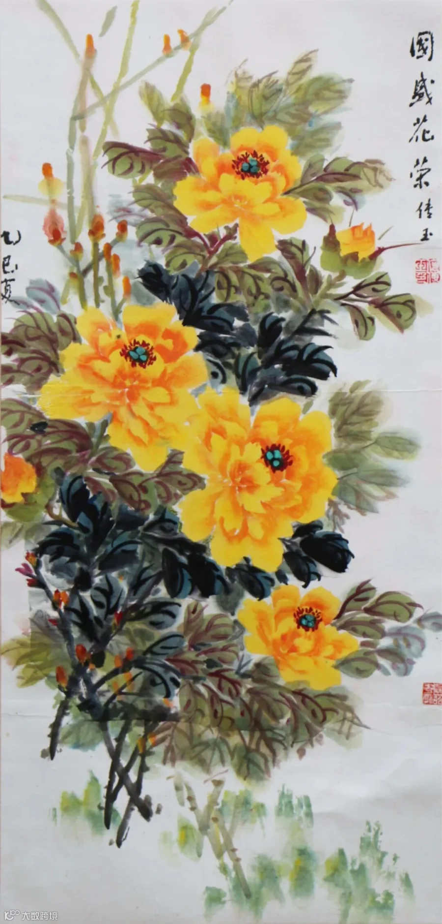 图片