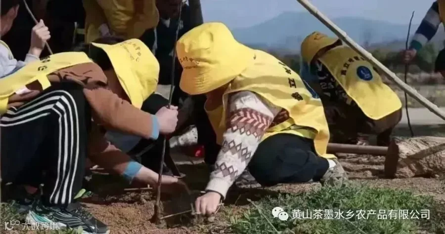 微信图片_20230308231837.jpg