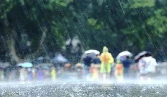 中到大雨+暴雨!河北大范围降雨来袭!雨天出行注意这些凤凰网河北_凤凰网