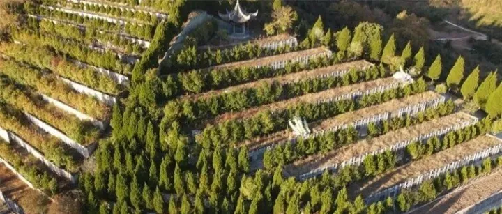 <em>黄山</em>一殡葬服务中心正式试运营！