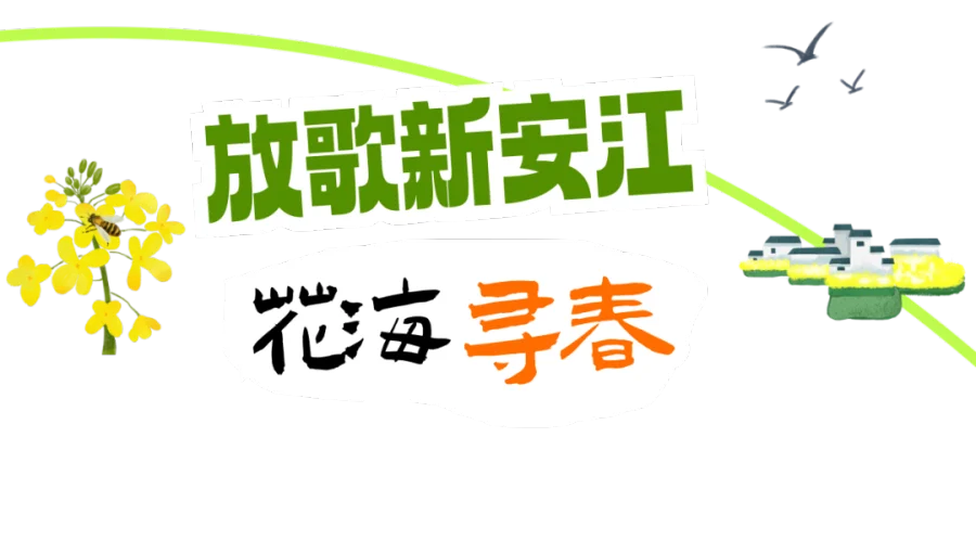 e2f0d07d-dc80-4823-80ec-6b87751ac2a3~0.png