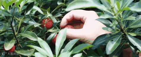 1559009539266137.gif