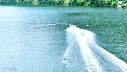 8月15日(1).gif