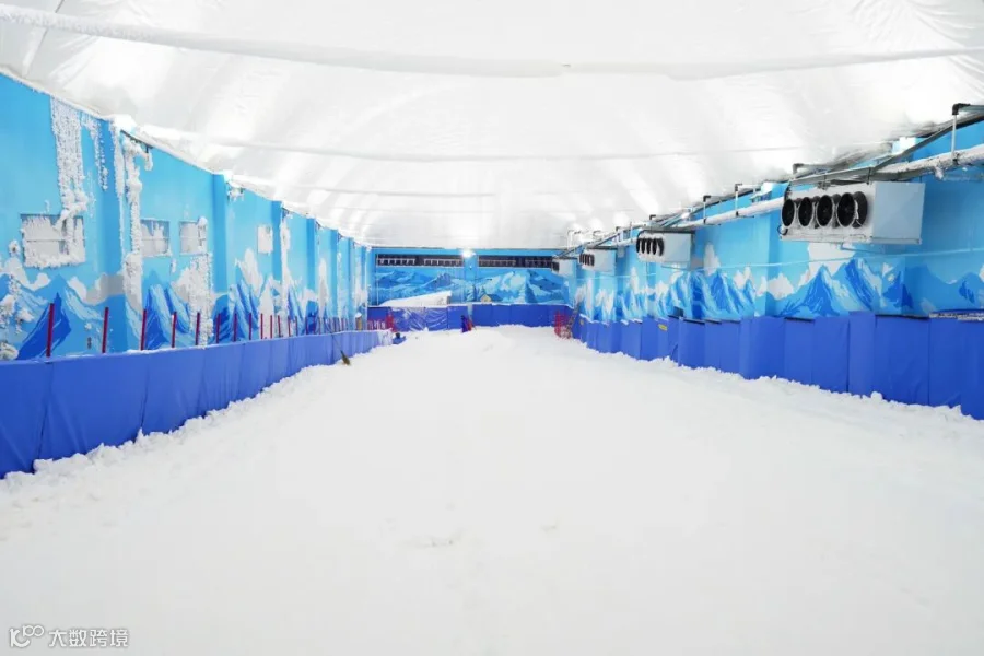 DSC02447.jpg