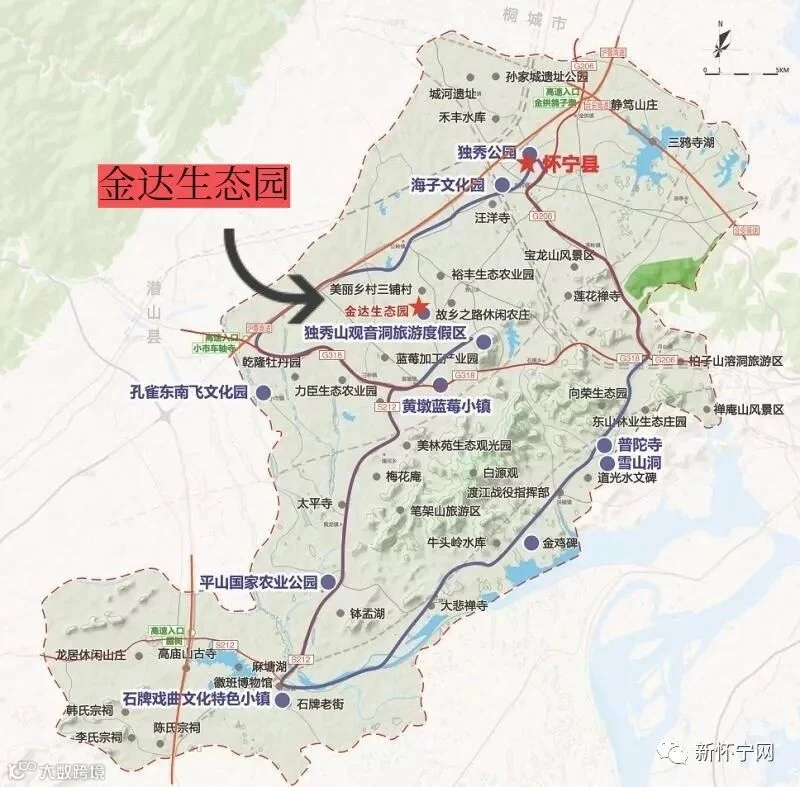 金达di.jpg