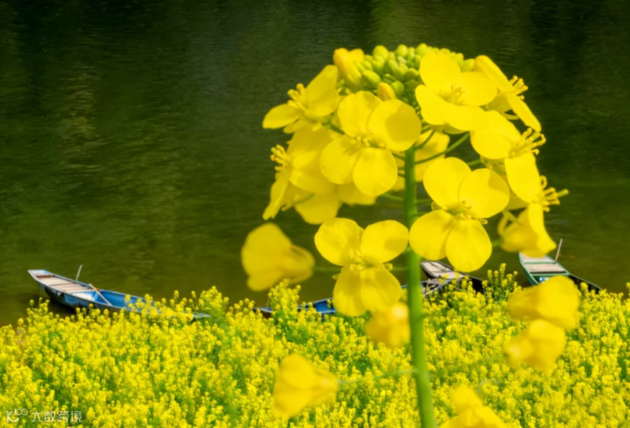 微信图片_20260312100002_5471_78.png
